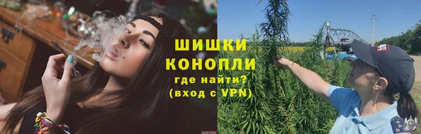 трава Медногорск