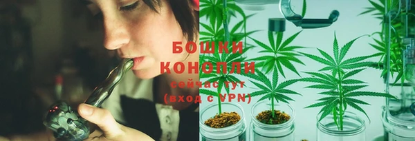 трава Медногорск