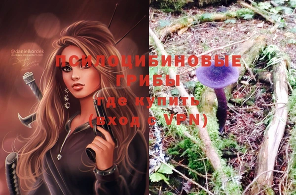 ALPHA PVP Мегион