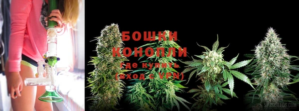 трава Медногорск